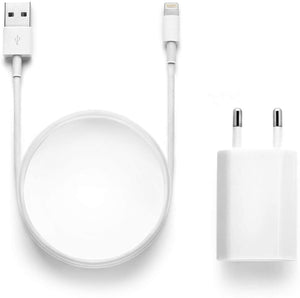 Chargeur compatible Lightning