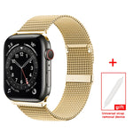 Bracelet Milanais Apple watch